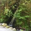 Small waterfalls and streams are just off the trail, offering an opportunity to refill (treatment recommended) or just cool off!