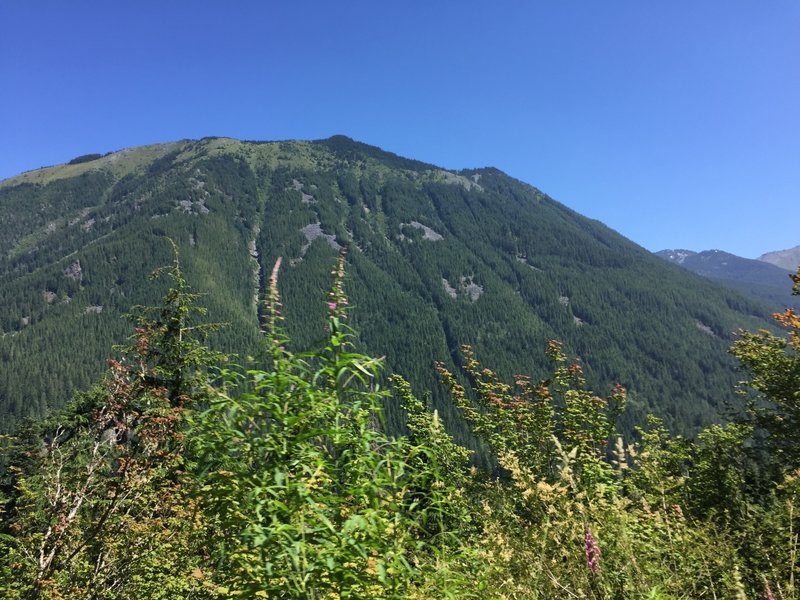 Great views abound from the trail of all the mountains along the I-90 corridor. This is likely Bandera Mountain.