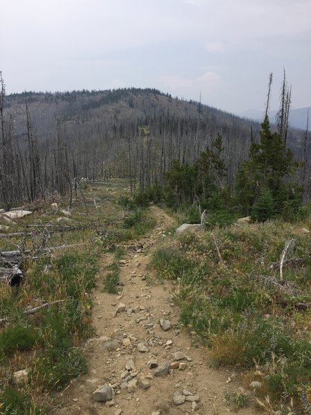 A scenic vista headed down the golden staircase.