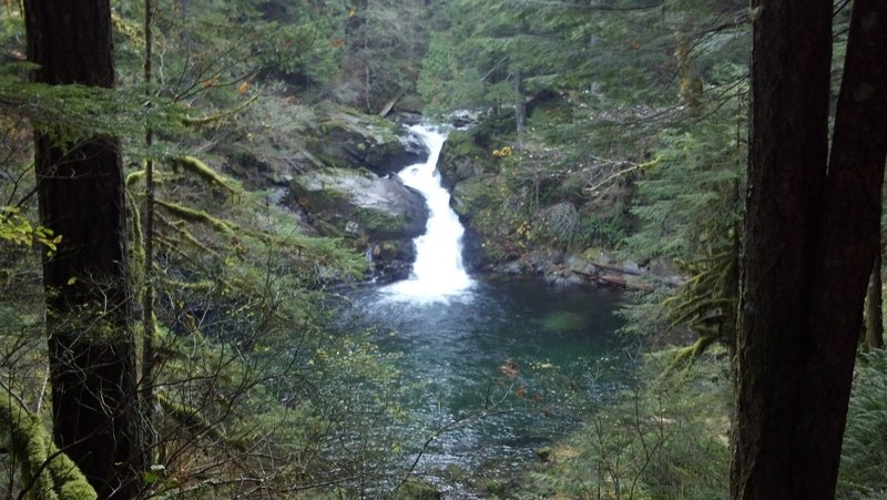 Falls on Siouxon Creek