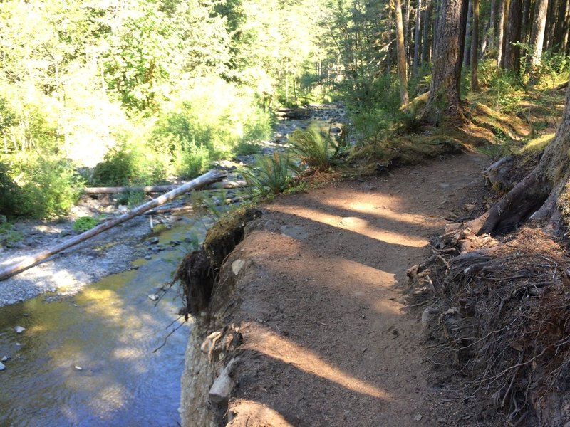 Miles of smooth singletrack alongside jaw dropping river views.