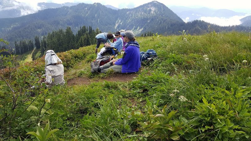 Lunch atop Scorpion Mt