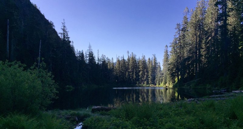 Camping on the Mountain Loop.