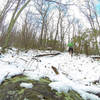 Terrapin Mountain main trail up the East Ridge. GoPro photo. Very steep!