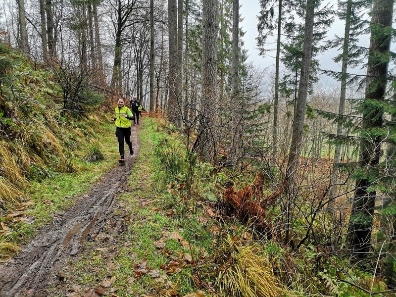 Muddy path