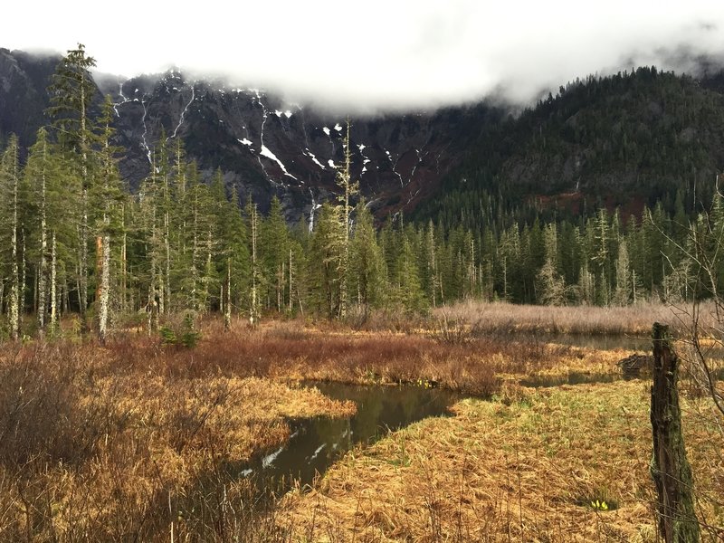 Big Four Ice Caves - Washington