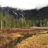 Big Four Ice Caves - Washington