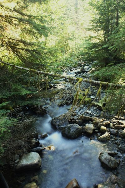 Mountain Loop Highway's Ice Cave Trail