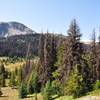 Headed up on boundary trail 533 over bald mountain, great meadows and views