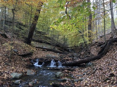 Small stream waterfalls along the Melvin C. Hazen Trail, Nov. 2018.
