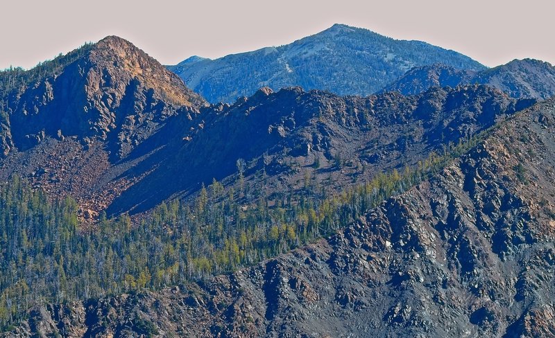 Larches, in the distance, yellow not orange