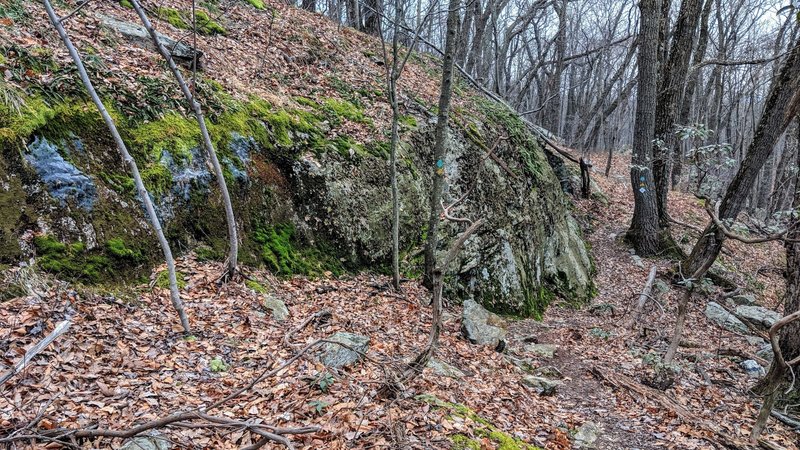 The Lake Hopatcong Trail skirts around many interesting rock formations, this one highlighted by green moss, even in December.