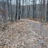 The Lake Hopatcong Trail turns doubletrack (or wider) in the Hopatcong area.