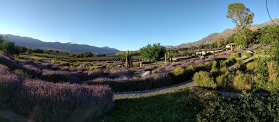 Gardens an pool at Estancia Colome