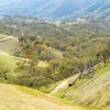 Looking down at the Hidden Valley Trail from the Ridgeline Loop in December.