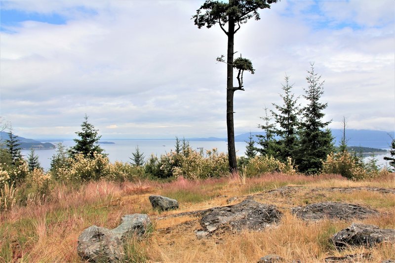 The Sentinal atop Guemes Mountain looking southeast.