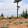 The Sentinal atop Guemes Mountain looking southeast.