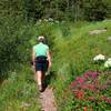 Climbing the Strawberry Basin Trail