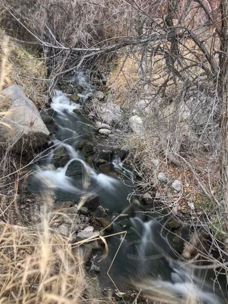 A small stream at the end of the trail leads into the Snake River