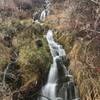 A cascade leads out from Scott's Pond and crosses a spur from the main Scott's access trail