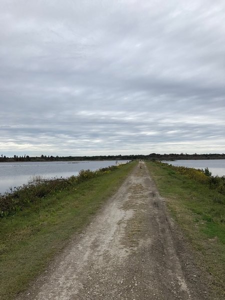 One of the trails, looking north through the marsh.