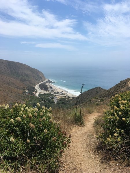 Great Dune View Trail