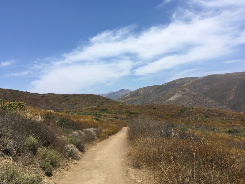 Great Dune View Trail