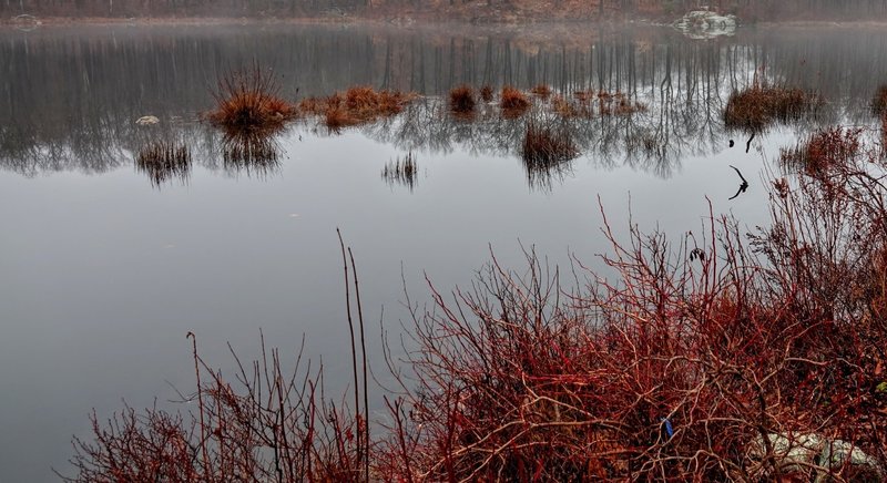 Nothing beats finding a new perspective on an often visited trail in your hometown - Mahlon Dickerson Reservation, NJ