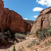 As you enter Little Death Hollow, the trail frequently meanders through the wash