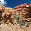 Narrowing canyon walls of Wingate Sandstone