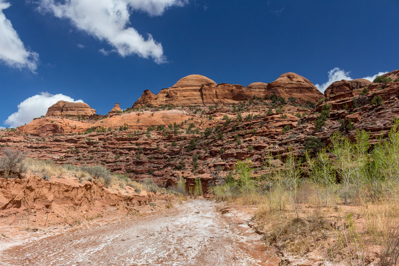 Mineral deposits in the Horse Canyon wash