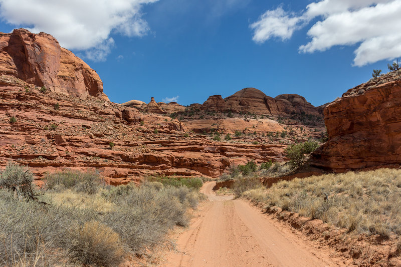 Horse Canyon Road often shortcuts across the winding creek that gave the canyon its name