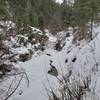 Snowy Day in Icebox Canyon