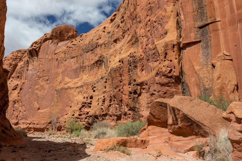 Wingate Sandstone walls make up most of the Wolverine Creek route