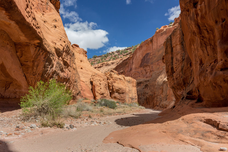 Every turn in Wolverine Canyon gives you a new perspective as you can't see far ahead