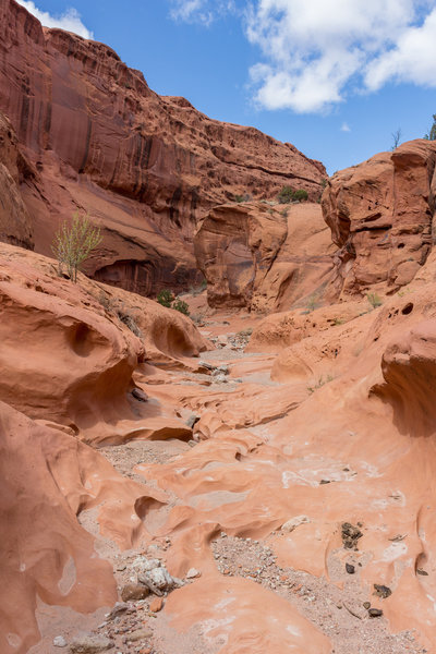 The surface of the rocks is a clear indication of the sheer force of water, especially during a flash flood