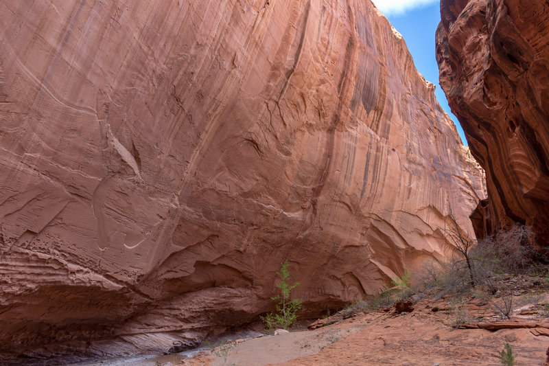 One of several massive overhanging walls, at least 100 feet tall.