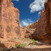 Different water levels have carved alcove-like structures into the canyon walls of Wolverine Canyon