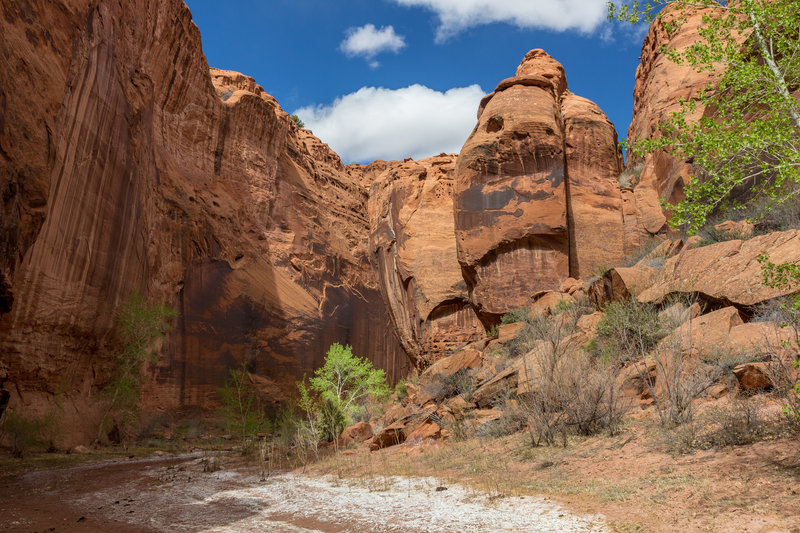 A rock formation that resembles a watchman at the end of a wetter section in Wolverine Canyon