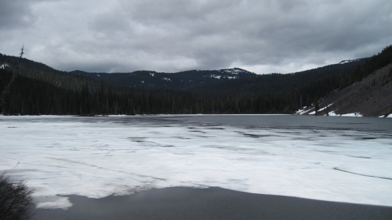 sasquatch e olympic peninsula