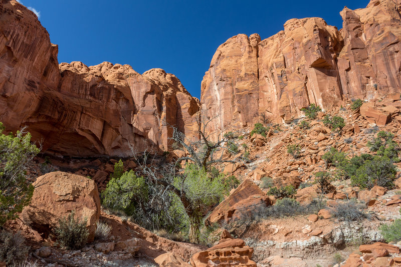 Amazing Wingate Sandstone formations on the northern side of the Wolverine side canyon