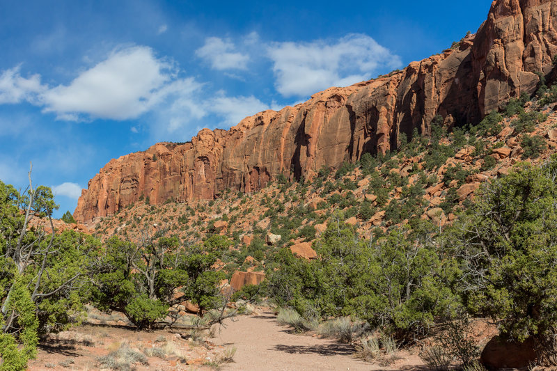 Little Bown Bench on your right as you head up the Wolverine side canyon.