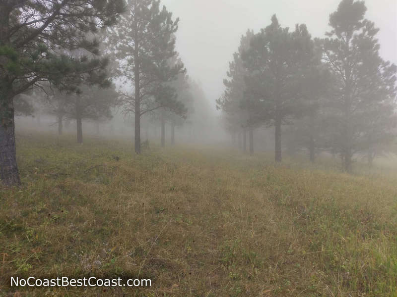 Foggy day on the trail to Sheepnose Mountain