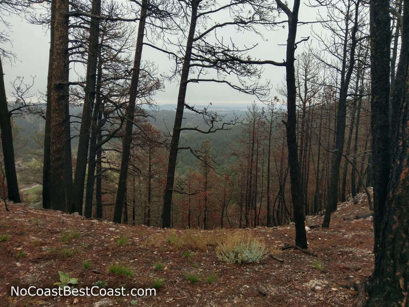 Burnt trees and distant views from the Lover's Leap Trail