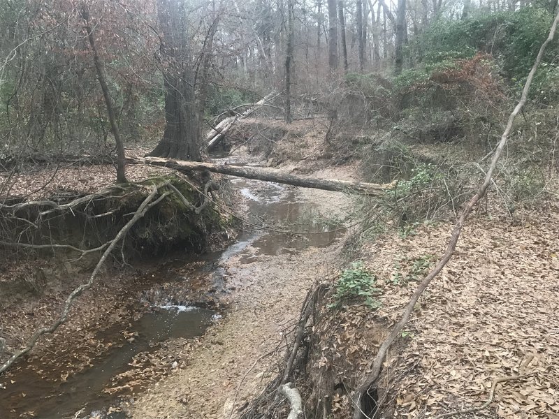 Creek alongside trail at Julieanna Park.