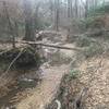 Creek alongside trail at Julieanna Park.