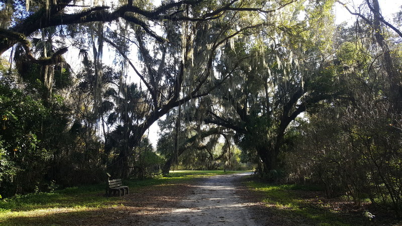 Trail features a number of meadows with majestic live oaks.