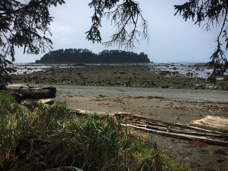 Gap in the trees from Cape Alava at low tide