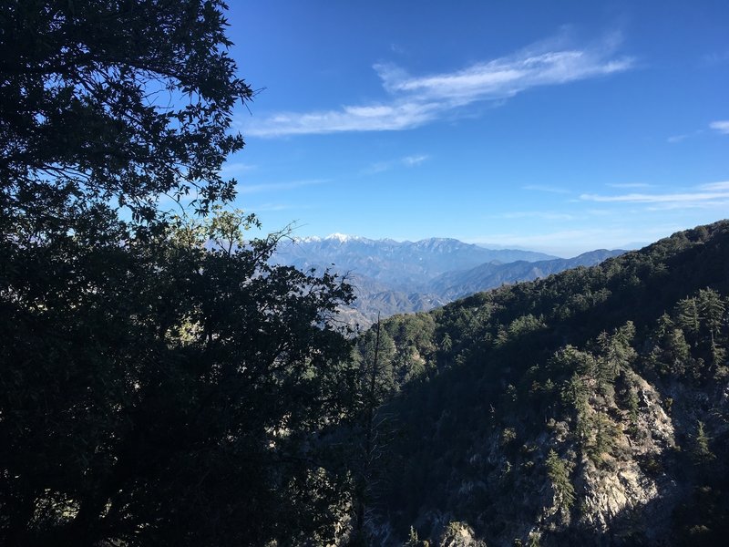 View of Mt. Baldy