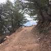 Muir Peak Rd just before the Muir Peak Trail junction